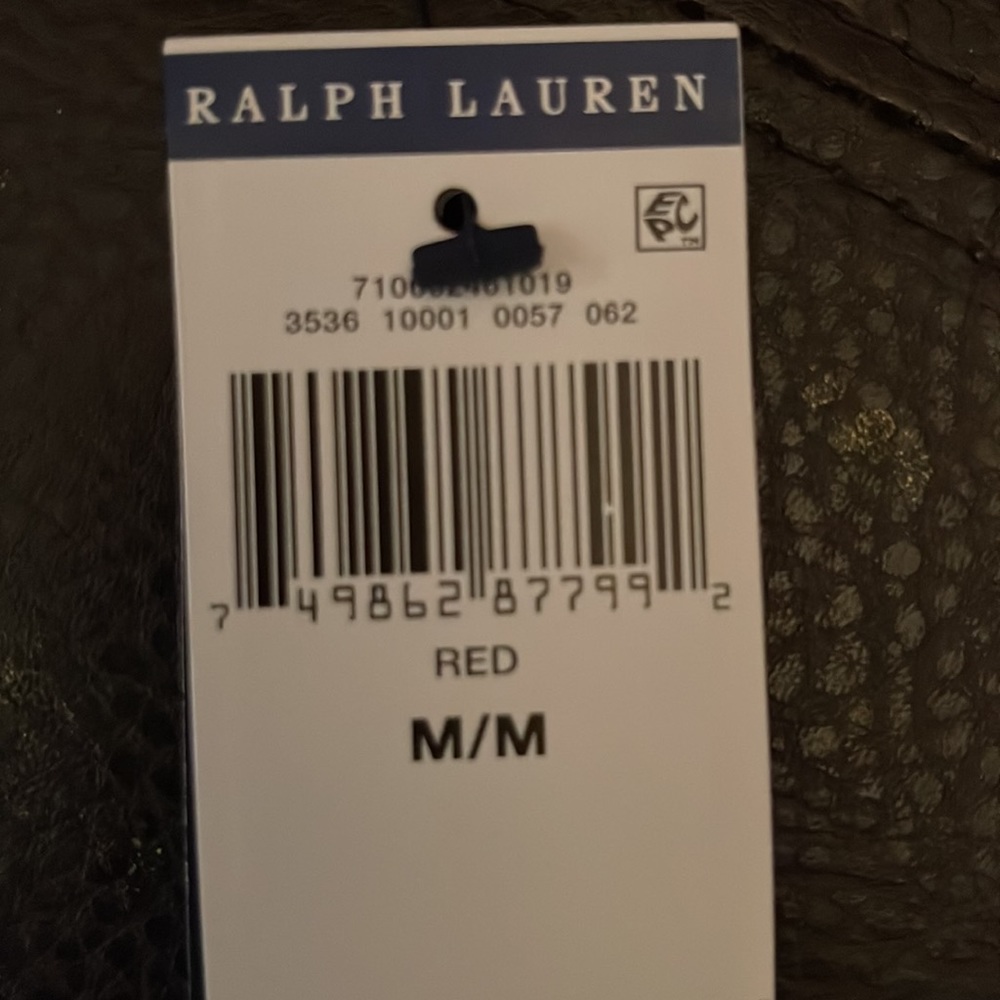 Selling Ralph Lauren polo sweatsuit (pull over hoodie/sweatpants) NWT ($190) - Picture 4 of 5